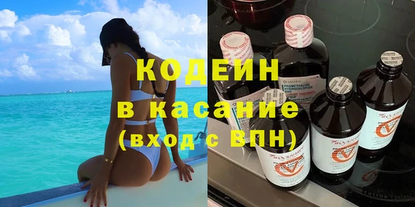 не бодяженный Заводоуковск