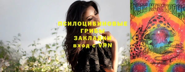 PSILOCYBIN Заволжск