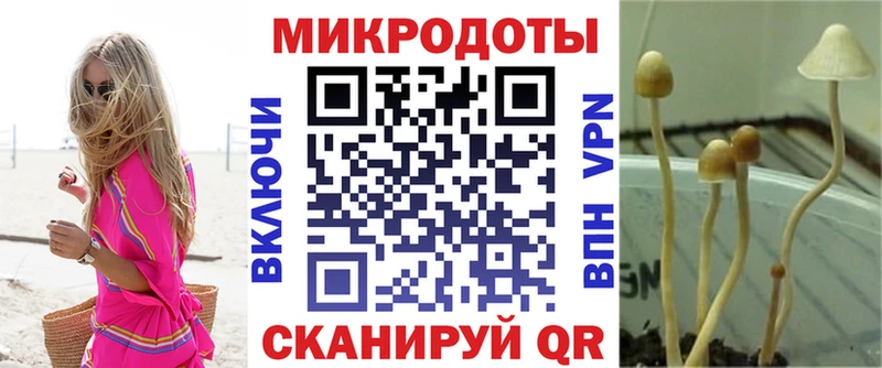Галлюциногенные грибы мухоморы Спасск-Рязанский