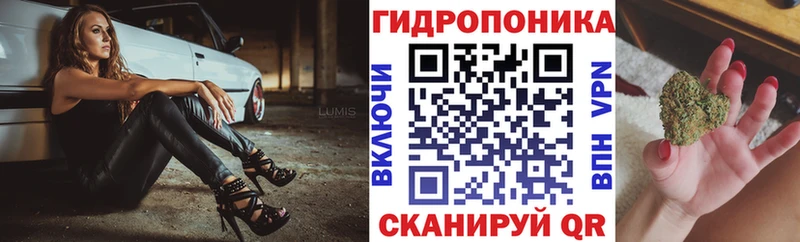Каннабис ГИДРОПОН Спасск-Рязанский